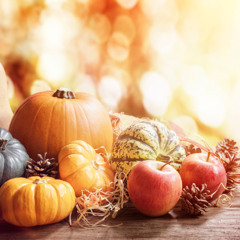 Dankbarkeit & Vertrauen trotz Sorgen I Erntedank I Matthäus 6,25-34 I 05.10.2025 I Sche-Zang Lim