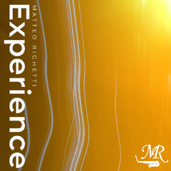 EXPERIENCE