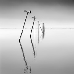 Line #19