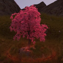 cherry blossoms and my ever growing anguish (clip)