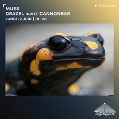Mues - Drazel invite Cannonbar (Juin 2023)