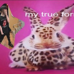 LOKA x The._.Plauge - justanothericon