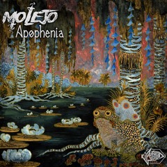 01 Apophenia