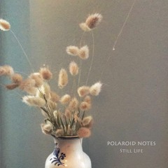 Polaroid Notes - Snippets Of Still Life (Album)