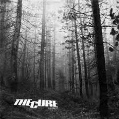 A Forest/ Nothing But Trees Here (STBB#910)