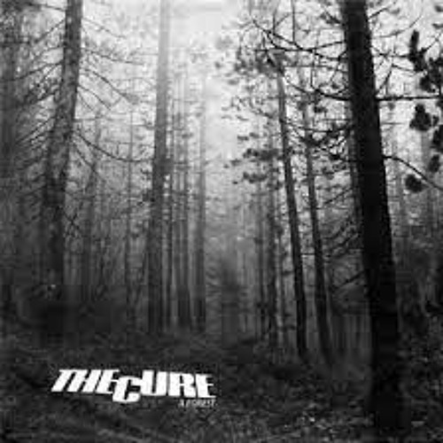 A Forest/ Nothing But Trees Here (STBB#910)