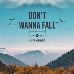 Don't Wanna Fall