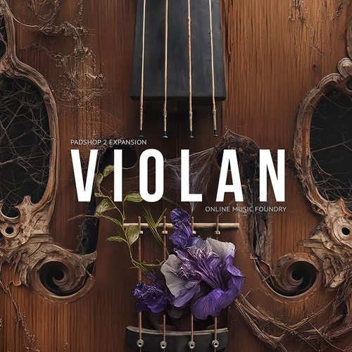 Violan - Illuminating Pond - Gary Gibbons