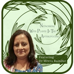 Episode 6 Kate Brelje interviews Meera Baindur