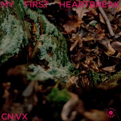 CN:VX - LONELY HEARTS / ECHOES FADE (eiskern Remix)
