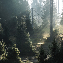 Magic Essence Surround the Treasure