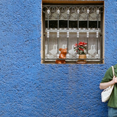 WINCHESTER WILBUR - THE CDMX TAPE