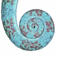 Cage Dance w/ Zuzu & SP33DY JULIE (11.05.23)