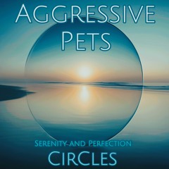 Circles, Serenity and Perfection