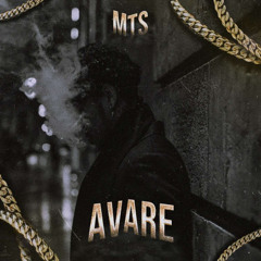 MTS - AVARE