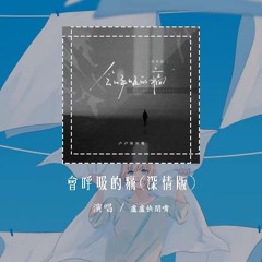 卢卢快闭嘴 - 会呼吸的痛(深情版)「想念是会呼吸的痛 它活在我身上所有角落」【動態歌詞/Lyrics Video】#卢卢快闭嘴 #会呼吸的痛 #動態歌詞