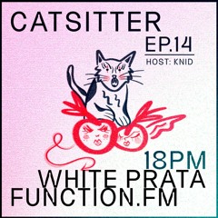 White Prata | CatSitter EP 14 @function.fm