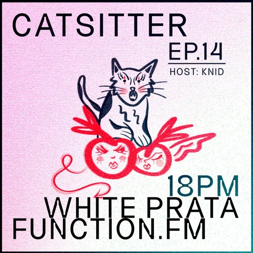 White Prata | CatSitter EP 14 @function.fm