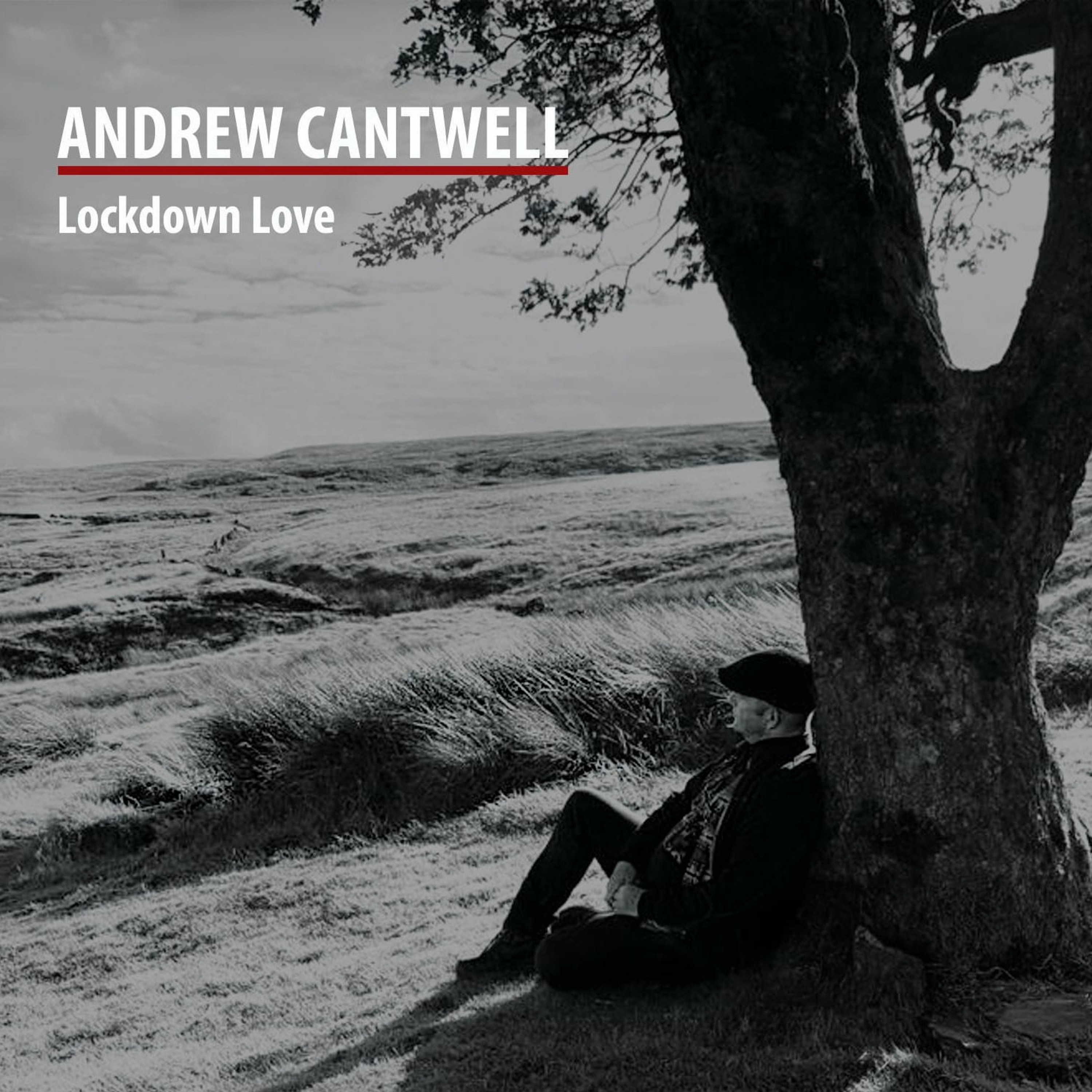 Andrew J Cantwell