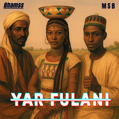 Yar Fulani (feat. MSB)