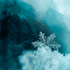 frost