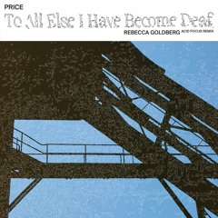 PREMIERE: price - To All Else I Have Become Deaf (Rebecca Goldberg Acid Focus Remix)
