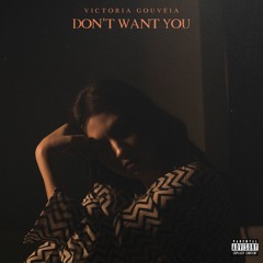 Don't Want You (prod. DIMI)