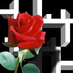 Golden Black Markers