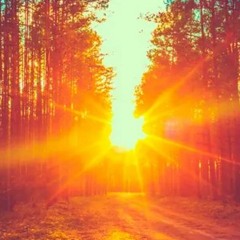 Out Of The Darkness & Into The Light Album