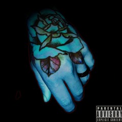 Slow Down Ft. Jessie Wild