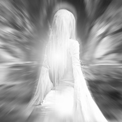 aphrodite (yashio)