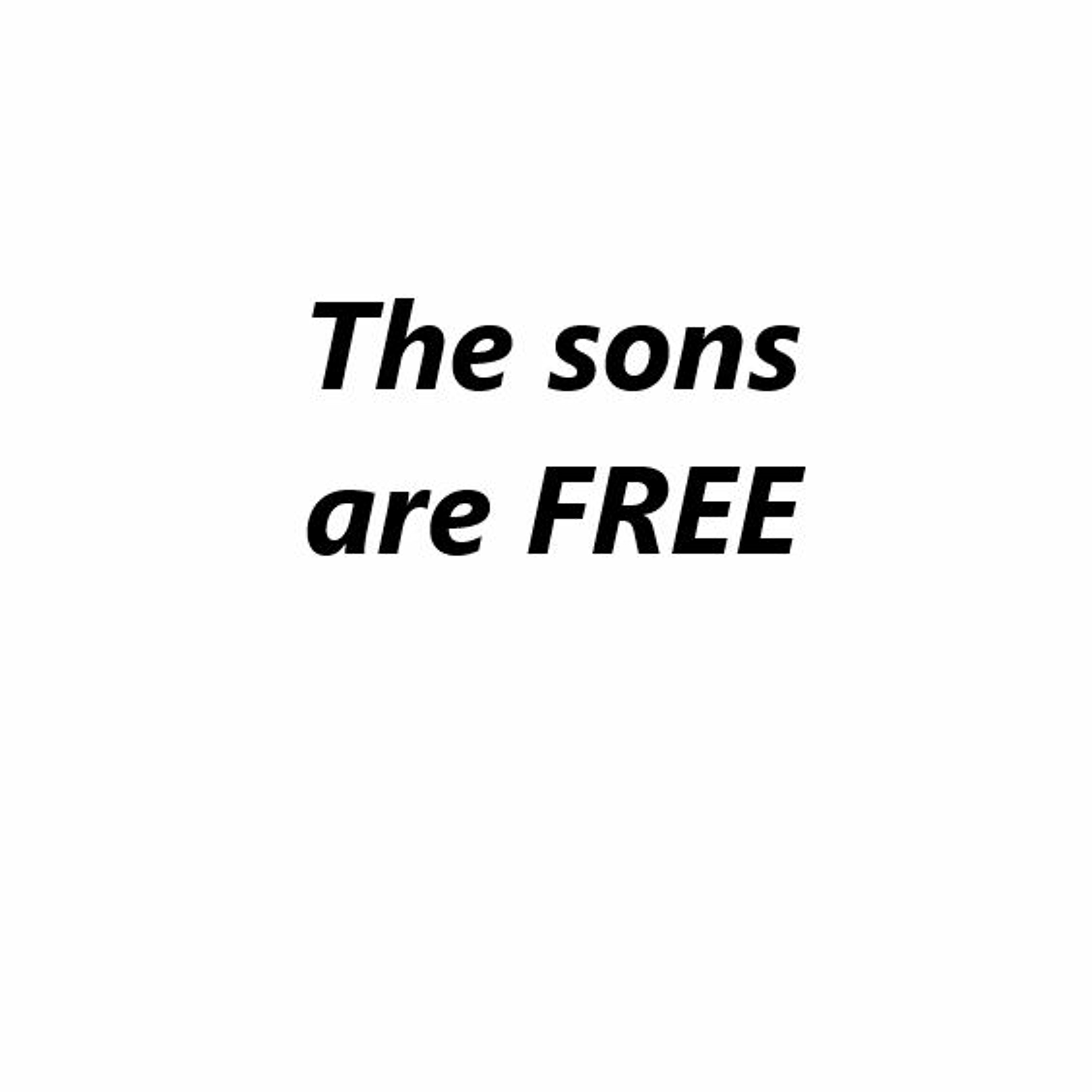 The sons are free episode artwork