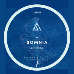 Pyrrhus - Strings & Things Original Mix (The stillness between EP)  12.12.25 Beatport Exclusive