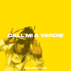 Stylo G - Call Mi A Yardie (Moloko Plus Remix)