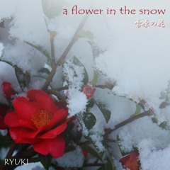A Flower in the Snow ～雪原の花
