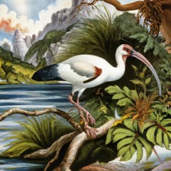 Quintessence Of Oddness