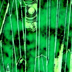Blue and Green in your Dreams