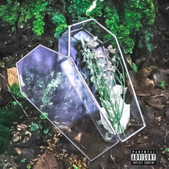 GLASS COFFIN ⚰️