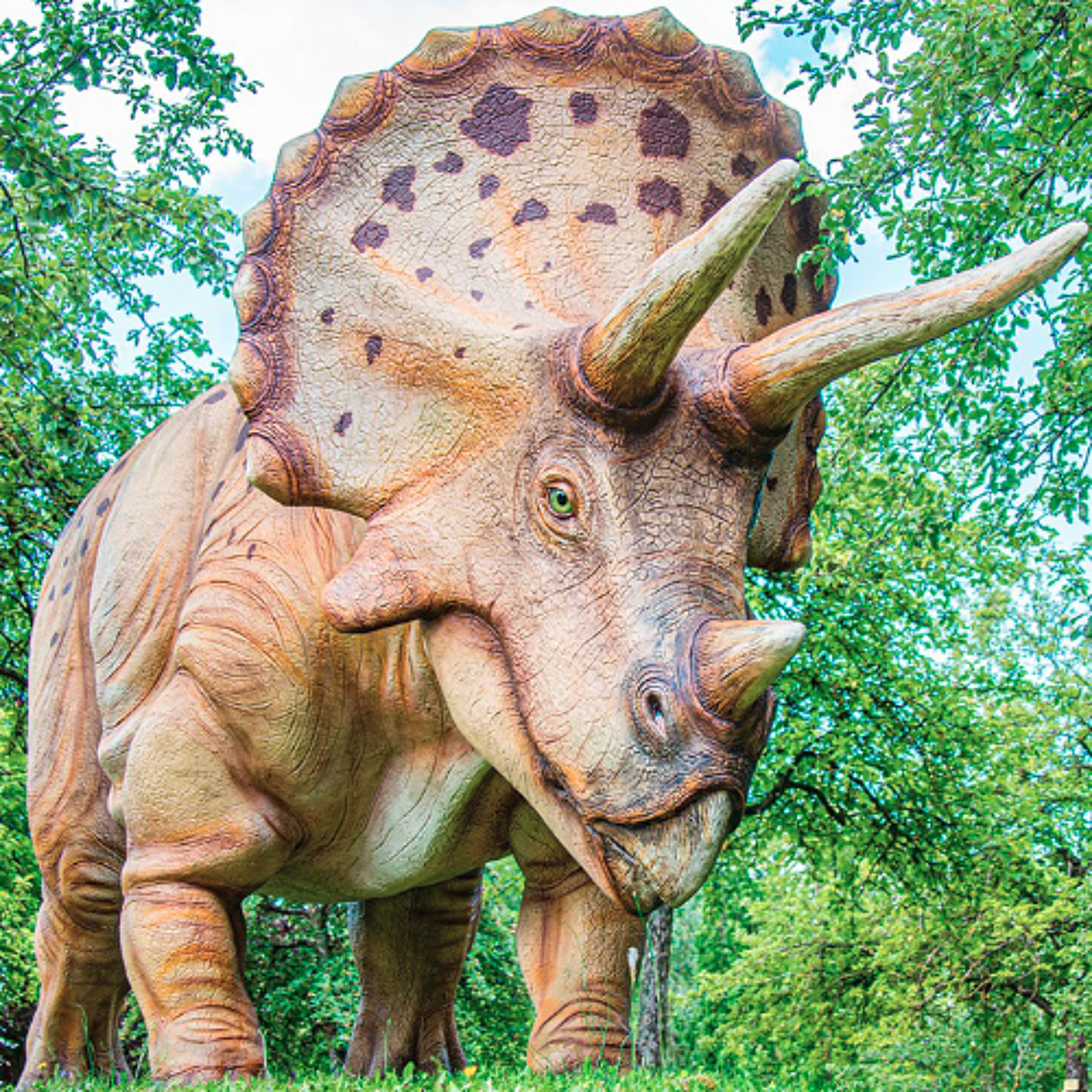 CHRO25039 – dinosaures