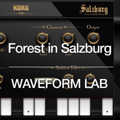 Forest in Salzburg (KORG Gadget)