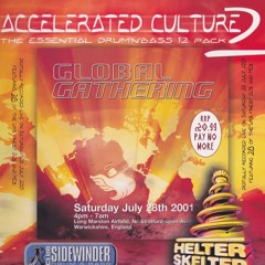 DJ Hype @ Global Gathering, 28 July 2001