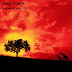 New Dawn | Organic Mix (Vol.1)