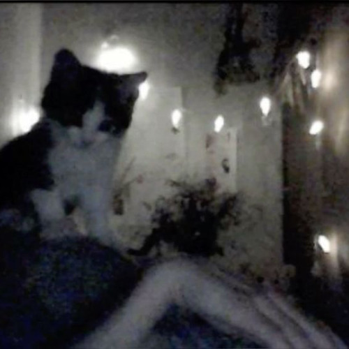 Rexv2 - Hit Yo Top ! [INSTRUMENTAL]