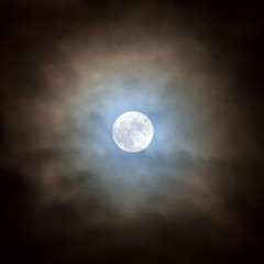 Unbenannt_01