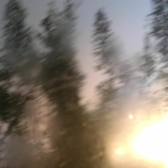 Amigo Chincol - Simón Campusano (cover)