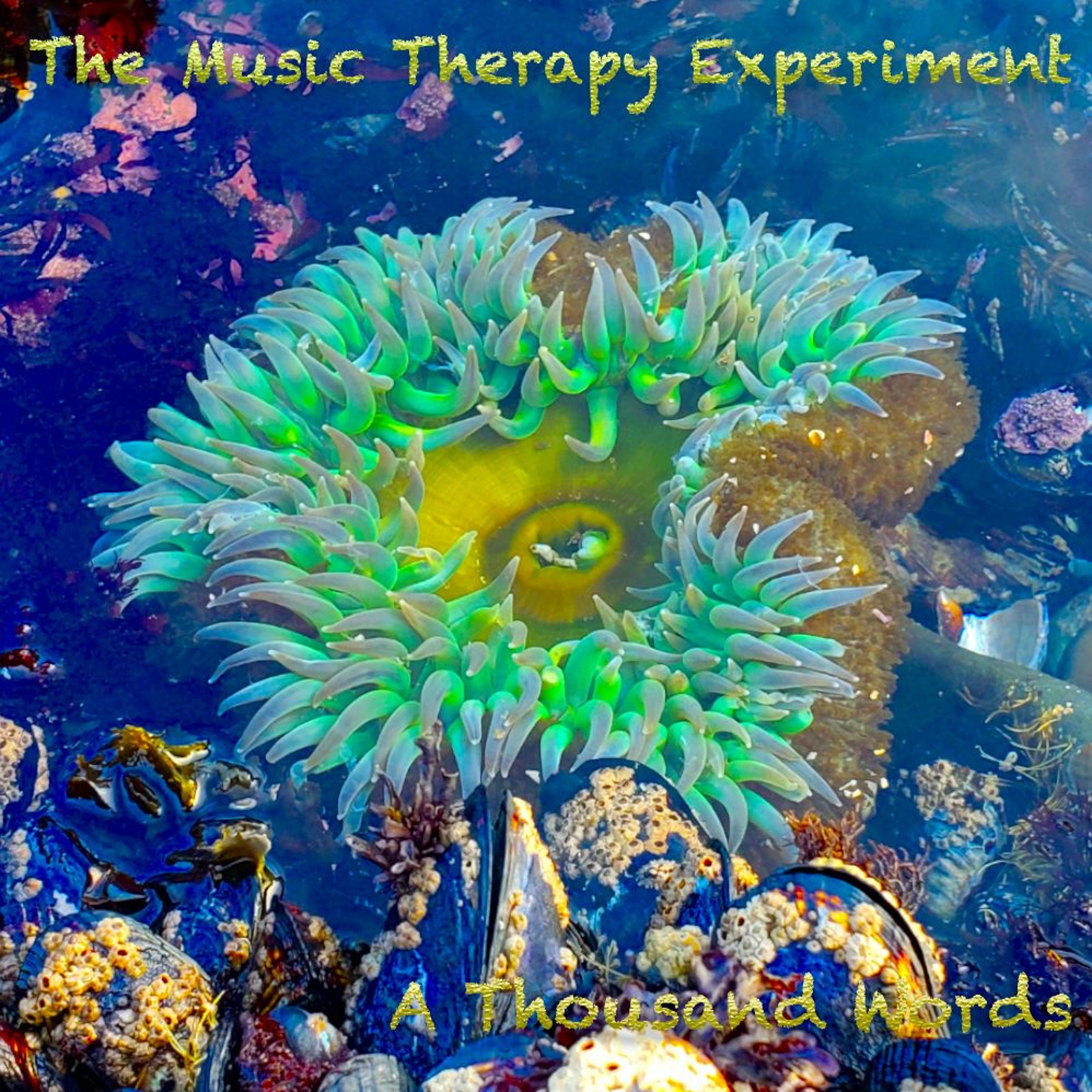 08 - The Music Therapy Experiment - When Summer Comes episode artwork