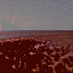 Mareel