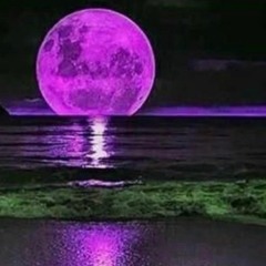 $elene (prod. lil amethyst)