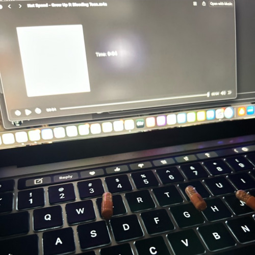 nettspend - cops r racists og