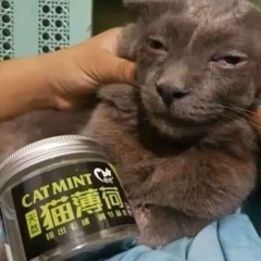 CATNIP SNIFF (FREE)
